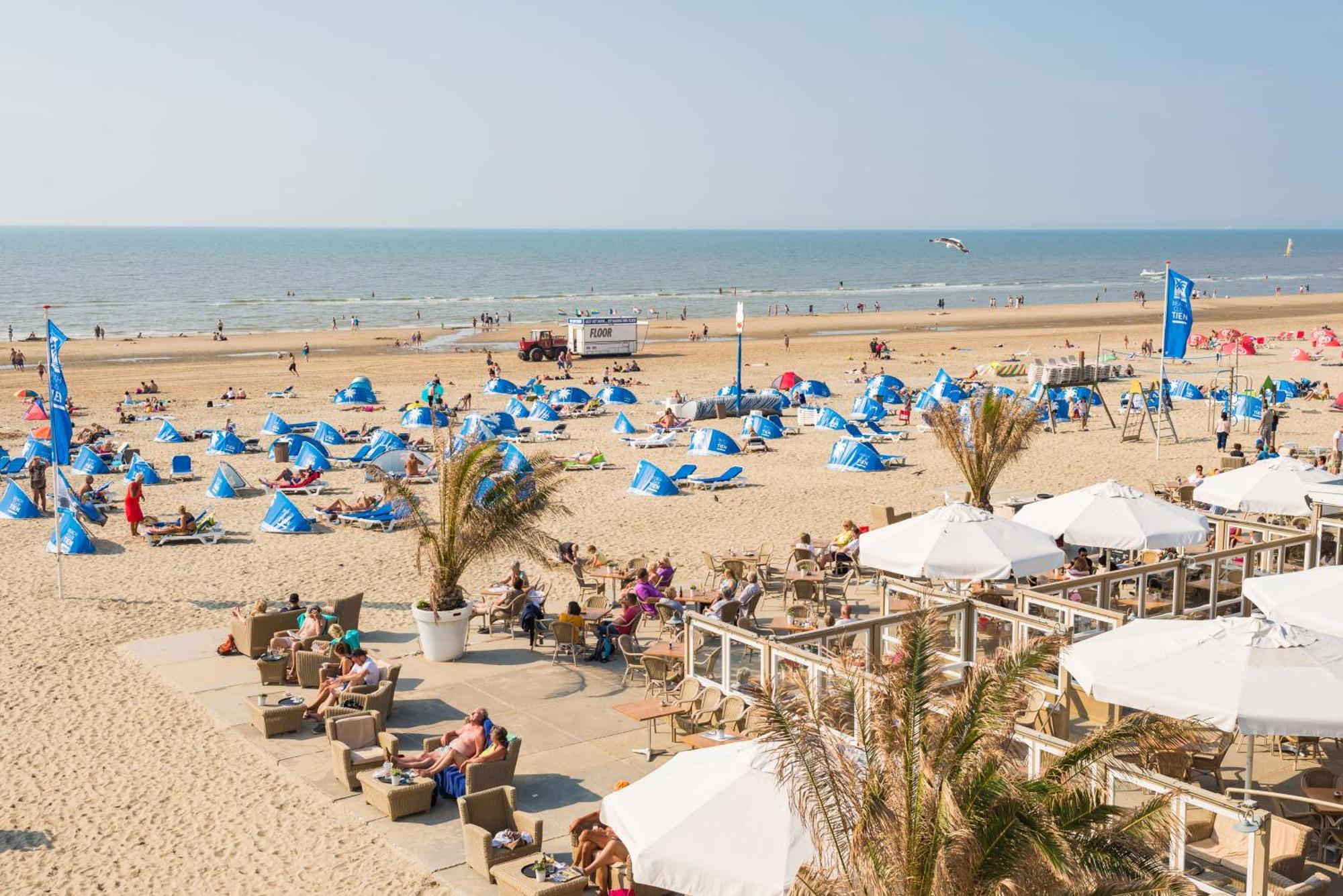 Albatros Aan Zee - Apartment 잔드보르트 외부 사진